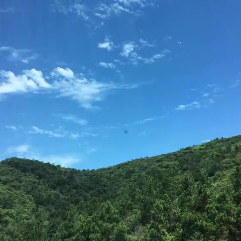 龙凤山研学旅行之团队精神