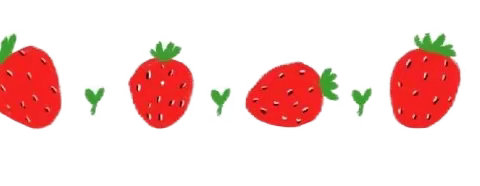 阳光暑假素养 助力快乐成长 2023年暑假（六）年级素养小项目