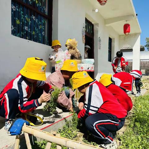 相约嫘祖 向春而行嫘祖乡村游首批小“客人”踏春一日游活动