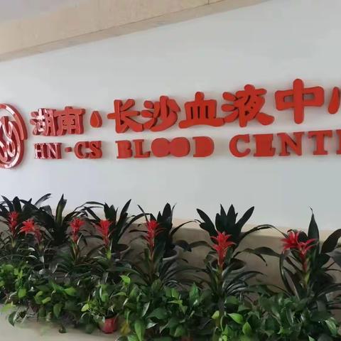 长沙市第六中学C2107班暑假社会实践活动--探秘一代血液的旅程