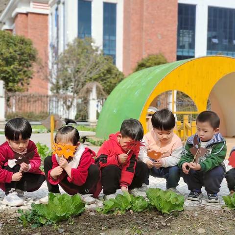 用心陪伴·见证成长——新幼小二班学期工作成果展