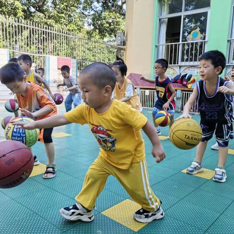 🏀篮球🏀汇报