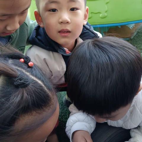 金理想幼儿园中三班故事案例分析