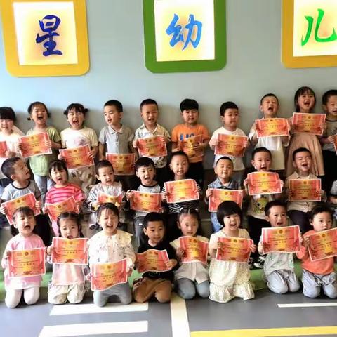 龙星幼儿园旺旺一班教学总结