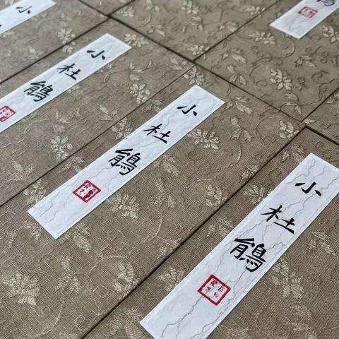 相信专业与口碑！秋季班🔥热报名中…