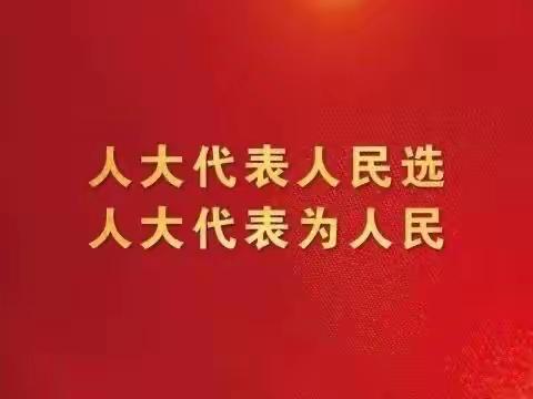 龙泉镇开展“代表进站家、履职为人民”11月份代表集中进站履职活动