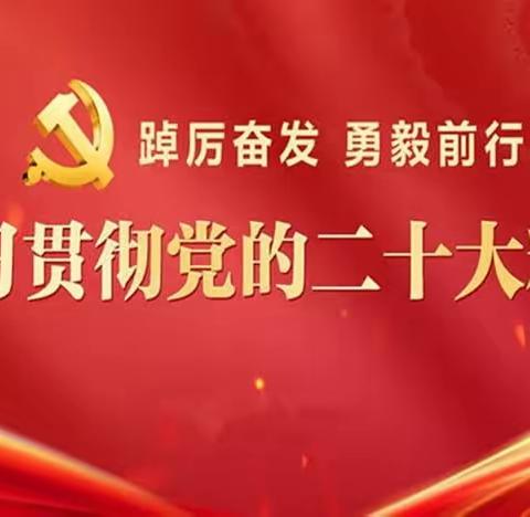淑村镇举办学习贯彻党的二十大精神培训班