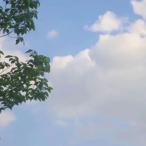 第三小组“十日劳动”