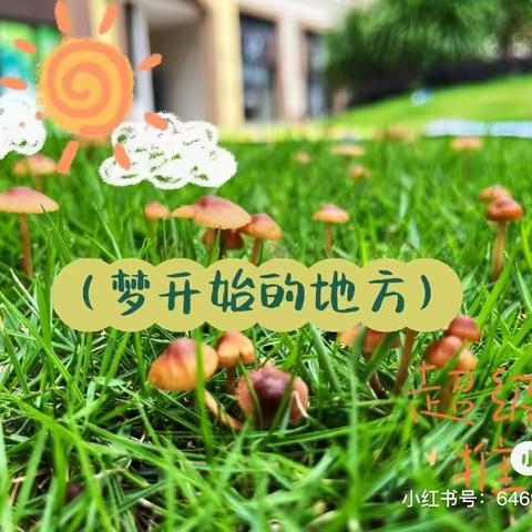 “多彩社团，活力校园”演绎社团魅力，谱写青春华章——鲁山八中（12月18-12月22）社团活动