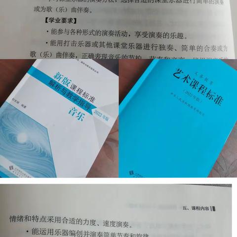 小乐器进课堂——口风琴
