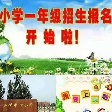 西佛中心小学2024年招生简章