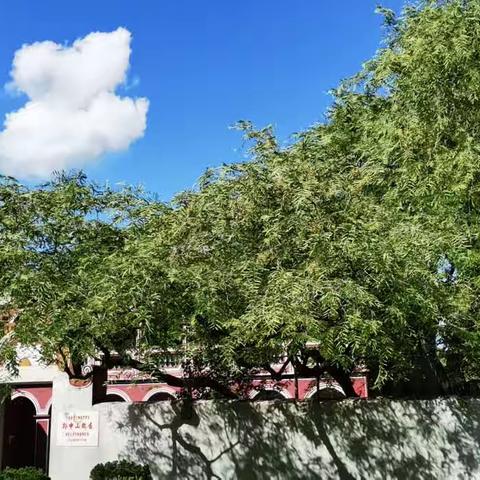爱国教育承遗志 现场教学促提升  ——宜宾市叙州区第4期中青班现场教学第一天学习纪实