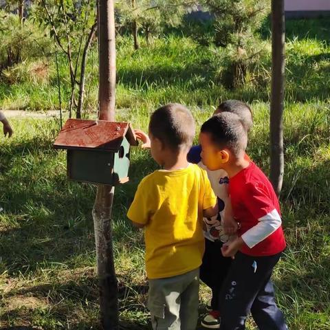 新生幼儿入园前准备