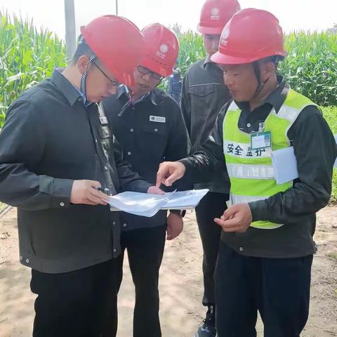 柴冰督导检查配网作业现场