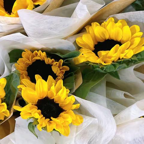 2024届妫川教育﻿新概念毕业典礼