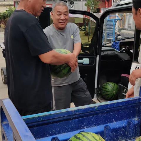 夏季炎炎，丝丝清甜