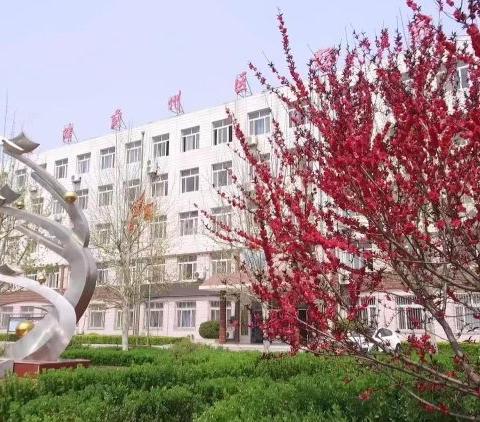 蓟韵飞扬     青春绽放 ——记蓟州区杨家楼中学第九届校园文化艺术节