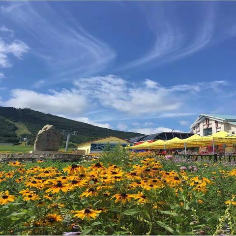 东北亚布力度假避暑7日