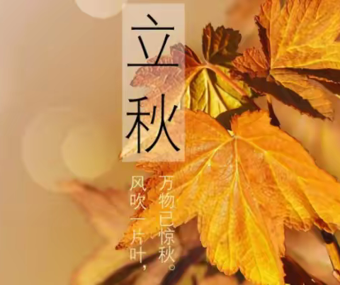 二十四节气--“立秋”