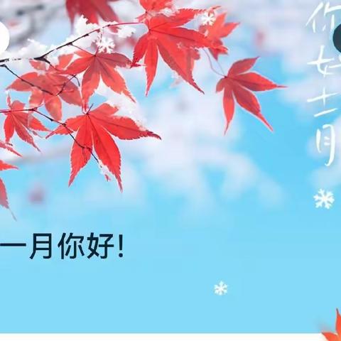 兴源蓝庭碧桂园物业十一月工作简报