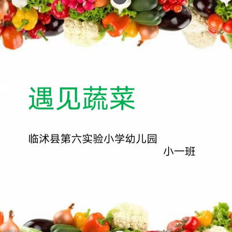 【班本课程】临沭县第六实验小学幼儿园小一班班本课程故事汇报总结——“遇见蔬菜”