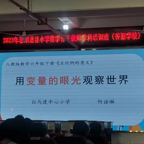 学习不止，进步不止—2023年道县小学数学骨干教师暑假培训