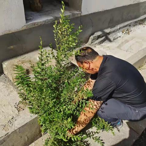 人居环境整治  打造美丽花园