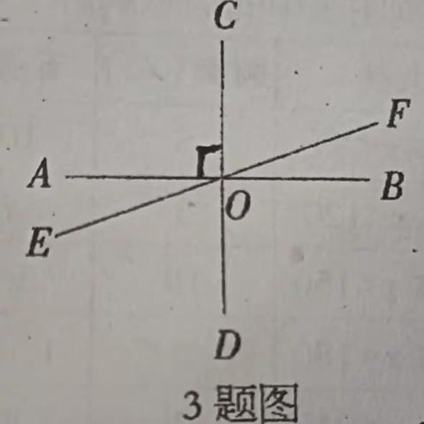 2023.7.14.期末综合检测试题（一）错题讲解（上）