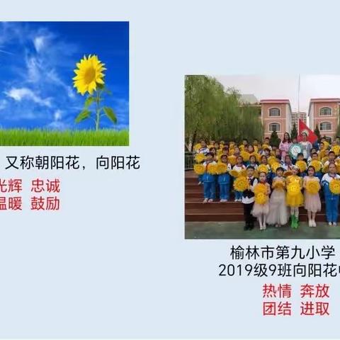 【喜报】全国红领巾中队名单新鲜出炉！榆林市第九小学向阳花中队榜上有名！