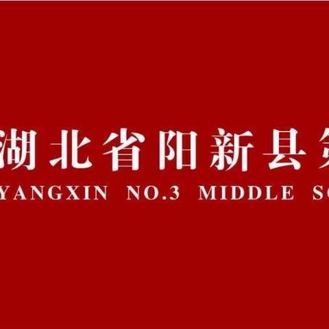 爱心铺就成功路，智慧沐浴新教坛——致身边的好老师邢萌萌