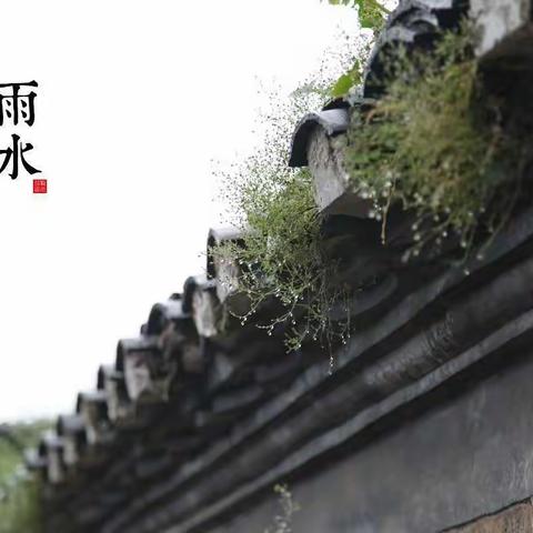 师大二附小综合实践活动指导“二十四节气（三）——雨水”