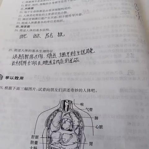 崔琦晗的暑假生活