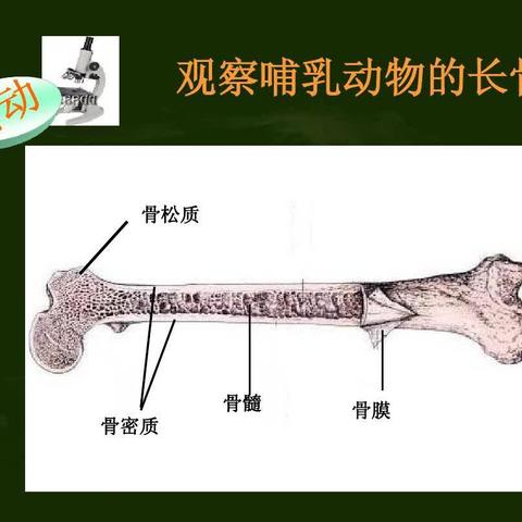 左梓馨生物实践作业222260