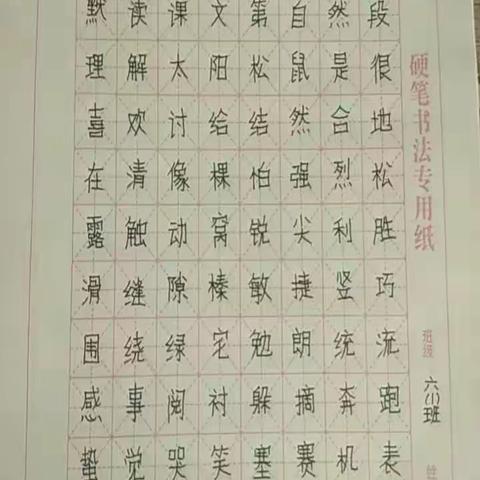 以规范书写传承汉字之美——湘连口小学暑期规范汉字书写（三）