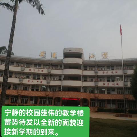 腾飞中的宏星小学