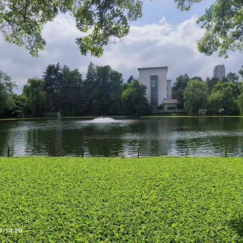 学习锤炼过硬党性，实干领跑教育改革——党组织领导的校长负责制情况汇报