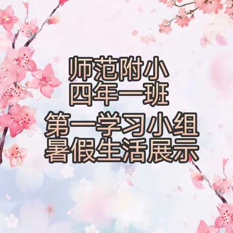 鸡西市师范附小 四年一班 第一学习小组 暑假生活展示