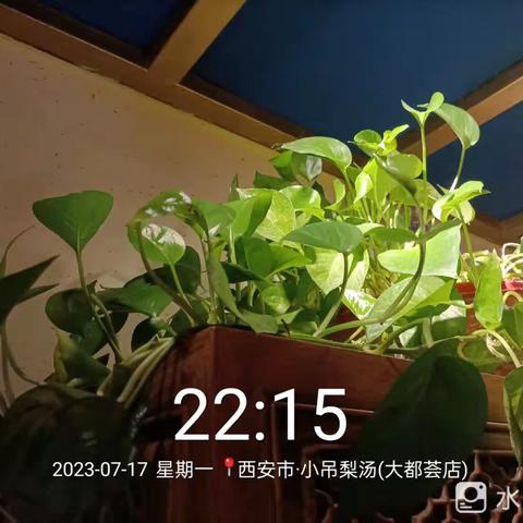 西安小吊梨汤大都荟店2023年7月17日晚收市。