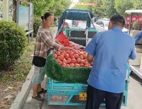 万金镇：集中开展城市清洁行动