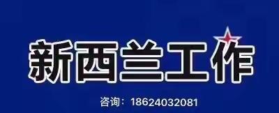 新西兰🇳🇿8.26日在招岗位汇总