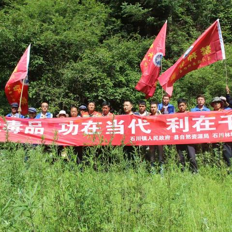 【“三抓三促”行动进行时】漳县石川林场：开展禁种铲毒踏查 全面筑牢禁毒防线