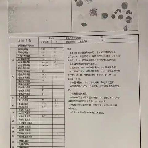 检查结果一览表