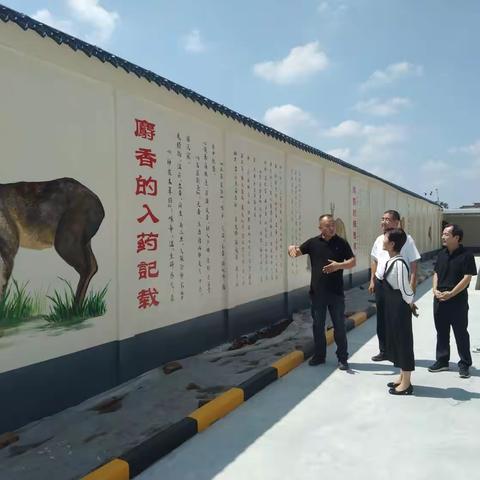 西安市野生动植物保护管理站检查指导周至县林麝养殖产业