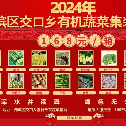 2024年春节“湖滨区交口乡富村”有机蔬菜集装箱”——火热预订中