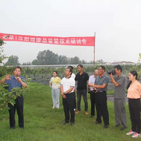 省梨产业技术体系徐州推广示范基地举办苏翠1号梨观摩品鉴暨技术研讨培训会