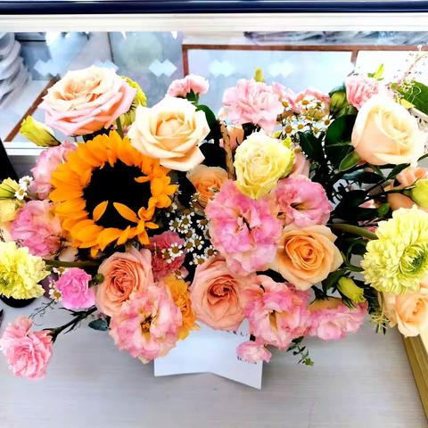 盛夏毕业季  少年乘风起