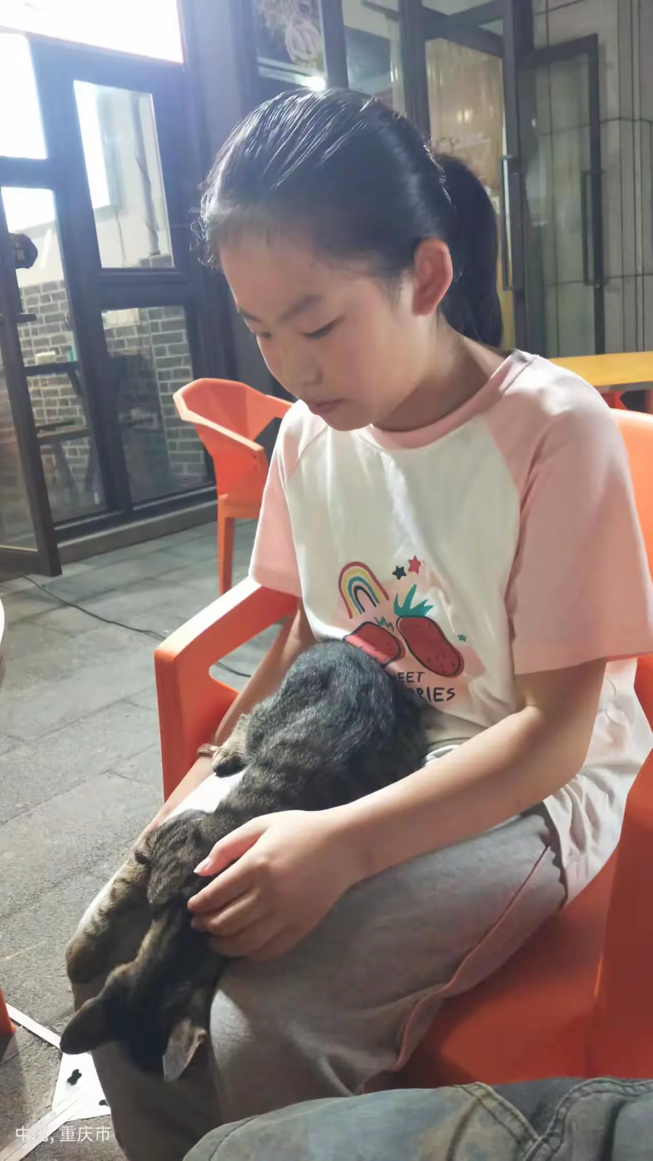 简篇-在过去的的一年里,我们开心过,我们悲伤过,我们调皮过,我们大笑过。回想起2023年的点点滴滴我们还是激情澎湃,