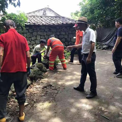 东占社区开展“秋季攻坚”专项行动