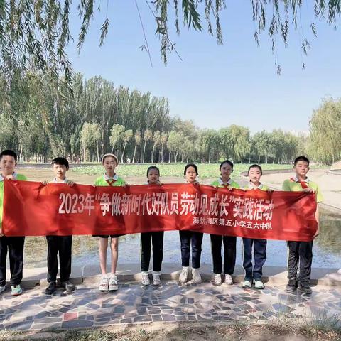 “争做新时代好队员，劳动见成长”社会实践活动———田园劳动  海区五小五六中队三组
