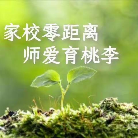 家校携手，共暖人心——南关学校三年级暑期家访活动